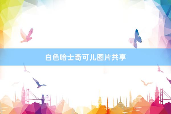 白色哈士奇可儿图片共享