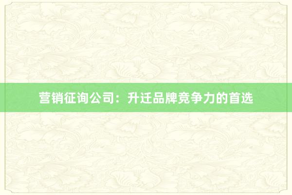 营销征询公司：升迁品牌竞争力的首选